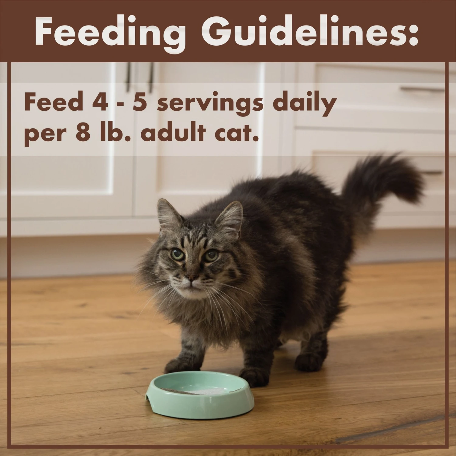 Nutro Perfect Portions Grain-Free Real Salmon & Tuna, Real Chicken & Shrimp Recipe Pate Variety Pack Adult Wet Cat Food Trays 10 Nutro Perfect Portions Grain-Free Real Salmon & Tuna, Real Chicken & Shrimp Recipe Pate Variety Pack Adult Wet Cat Food Trays - Image 8