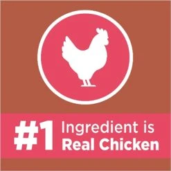 Iams ProActive Health High Protein Chicken & Salmon Recipe Dry Cat Food -Furry Friends 128630 PT3. AC SS1800 V1623284245