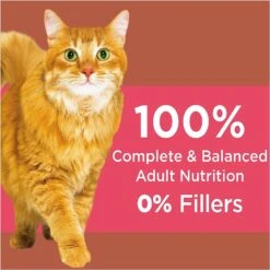 Iams ProActive Health High Protein Chicken & Salmon Recipe Dry Cat Food -Furry Friends 128630 PT4. AC SS1800 V1623287861