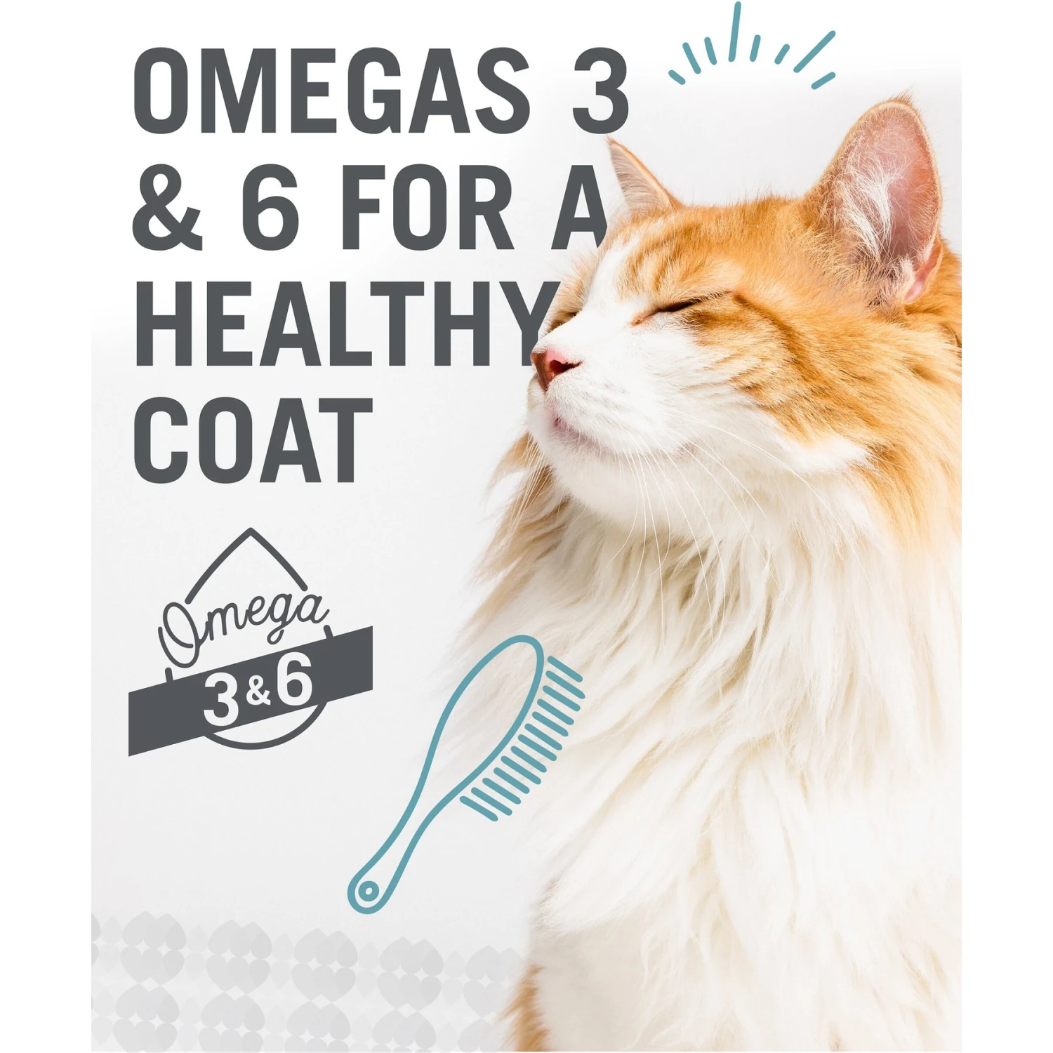 I And Love And You Oh My Cod! Pate Grain-Free Canned Cat Food 10 I And Love And You Oh My Cod! Pate Grain-Free Canned Cat Food - Image 8