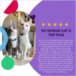 I And Love And You Chicken Me Out Pate Grain-Free Canned Cat Food -Furry Friends 130177 PT3. AC SS1800 V1692391164