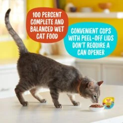 Meow Mix Tender Favorites With Real Tuna & Whole Shrimp In Sauce Cat Food Trays -Furry Friends 130523 PT3. AC SS1800 V1670940734