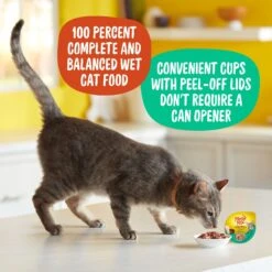 Meow Mix Tenders In Sauce With Real Chicken & Liver Wet Cat Food 16 Meow Mix Tenders In Sauce With Real Chicken & Liver Wet Cat Food -Furry Friends 130526 PT5. AC SS1800 V1674772433