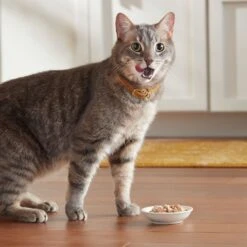 Meow Mix Chunks In Gravy With Real Chicken Breast Wet Cat Food 17 Meow Mix Chunks In Gravy With Real Chicken Breast Wet Cat Food -Furry Friends 130528 PT6. AC SS1800 V1674745091