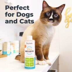 Oxyfresh Premium Pet Care Solution Cat & Dog Dental Water Additive -Furry Friends 131403 PT4. AC SS1800 V1675693830