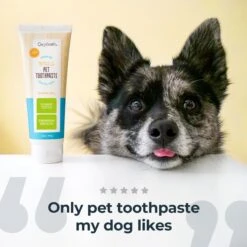 Oxyfresh Premium Vet Formulated Plaque & Tartar Cat & Dog Toothpaste, 4-oz bottle 13 Oxyfresh Premium Vet Formulated Plaque & Tartar Cat & Dog Toothpaste, 4-oz bottle -Furry Friends 131405 PT2. AC SS1800 V1702312674