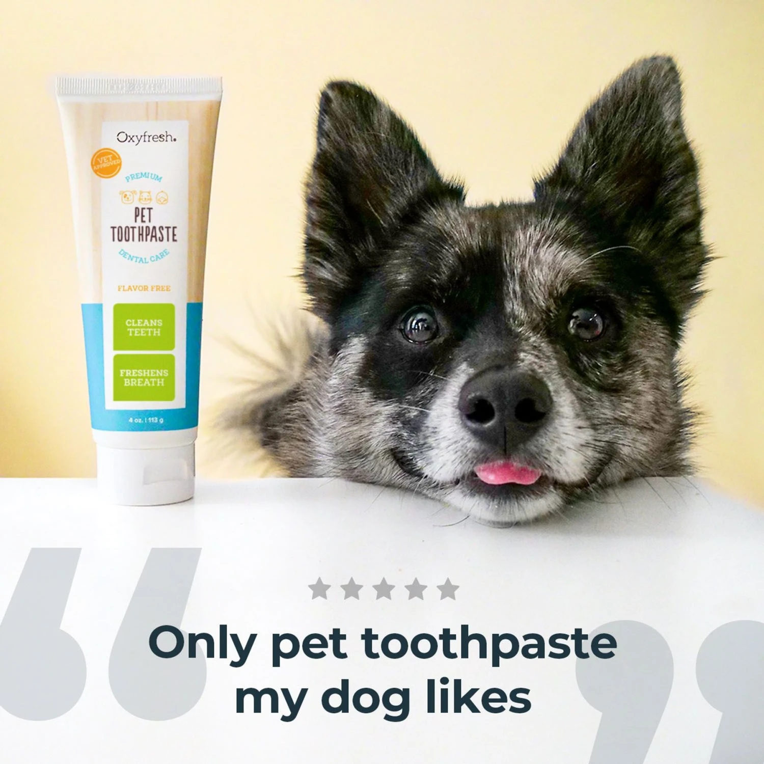Oxyfresh Premium Vet Formulated Plaque & Tartar Cat & Dog Toothpaste, 4-oz bottle 5 Oxyfresh Premium Vet Formulated Plaque & Tartar Cat & Dog Toothpaste, 4-oz bottle - Image 3