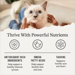 American Journey Duck Recipe Grain-Free Dry Cat Food -Furry Friends 131584 PT4. AC SS1800 V1668737457