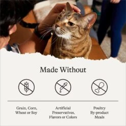 American Journey Duck Recipe Grain-Free Dry Cat Food -Furry Friends 131584 PT6. AC SS1800 V1680787123