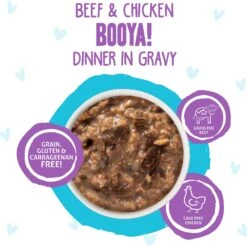 BFF OMG Booya! Beef & Chicken Dinner In Gravy Grain-Free Cat Food Pouches -Furry Friends 132281 PT2. AC SS1800 V1644919030