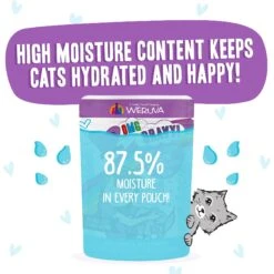 BFF OMG Booya! Beef & Chicken Dinner In Gravy Grain-Free Cat Food Pouches -Furry Friends 132281 PT3. AC SS1800 V1644913629