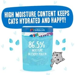 BFF OMG Ciao Baby! Chicken & Shrimp Dinner In Gravy Grain-Free Cat Food Pouches 14 BFF OMG Ciao Baby! Chicken & Shrimp Dinner In Gravy Grain-Free Cat Food Pouches -Furry Friends 132283 PT3. AC SS1800 V1644906398