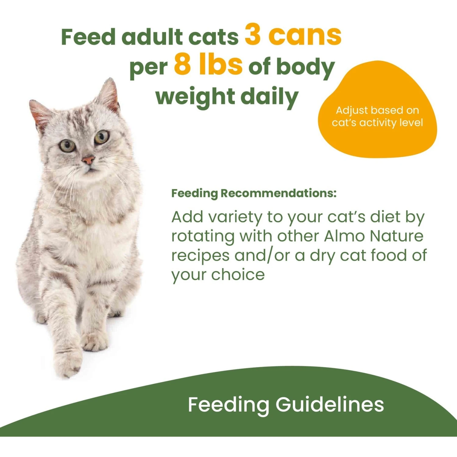 Almo Nature HQS Complete Chicken Recipe With Cheese Grain-Free Canned Cat Food 9 Almo Nature HQS Complete Chicken Recipe With Cheese Grain-Free Canned Cat Food - Image 7