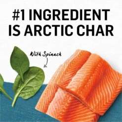 Purina Beyond Arctic Char & Spinach Pate Recipe Grain-Free Canned Cat Food -Furry Friends 132405 PT3. AC SS1800 V1700160925