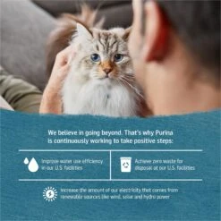 Purina Beyond Arctic Char & Spinach Pate Recipe Grain-Free Canned Cat Food -Furry Friends 132405 PT5. AC SS1800 V1700159670