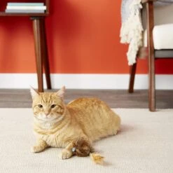 Petlinks HyperNip Wild Wooly Long Tailed Mouse Cat Toy With Catnip -Furry Friends 132594 PT3. AC SS1800 V1595363760