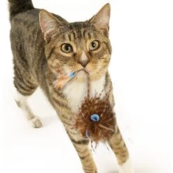 Petlinks HyperNip Wild Wooly Long Tailed Mouse Cat Toy With Catnip -Furry Friends 132594 PT4. AC SS1800 V1595365567