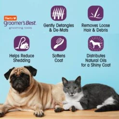 Hartz Groomer's Best Fur Fetcher DeShedding Cat Brush 18 Hartz Groomer's Best Fur Fetcher DeShedding Cat Brush -Furry Friends 132681 PT7. AC SS1800 V1657655412