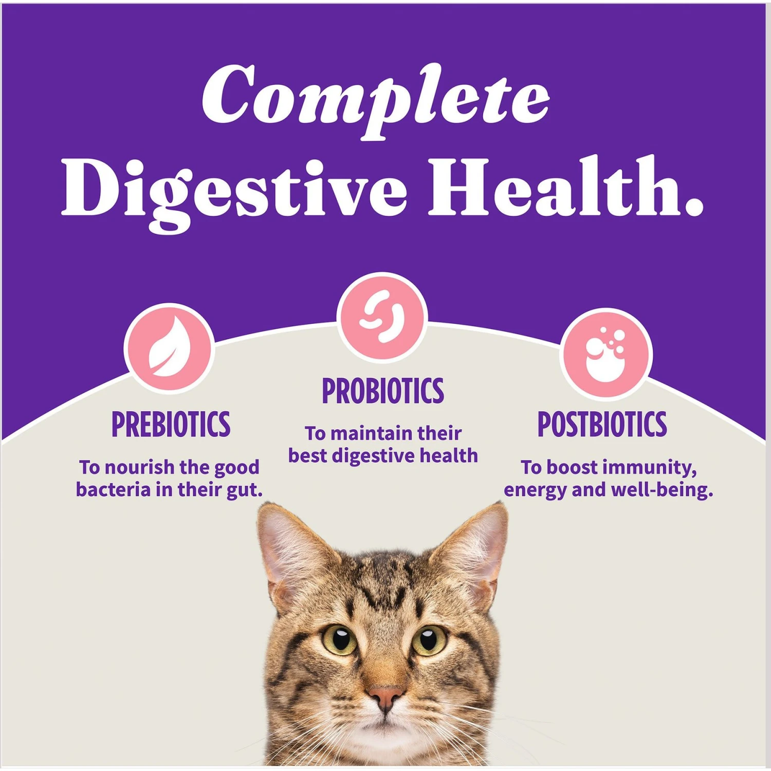 Halo Holistic Grain-Free Wild-Caught Salmon & Whitefish Recipe Complete Digestive Health Dry Kitten Food 7 Halo Holistic Grain-Free Wild-Caught Salmon & Whitefish Recipe Complete Digestive Health Dry Kitten Food - Image 5