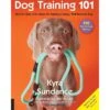 Dog Training 101: Step-by-Step Instructions For Raising A Happy, Well-Behaved Dog -Furry Friends 133450 MAIN. AC SS1800 V1630362121