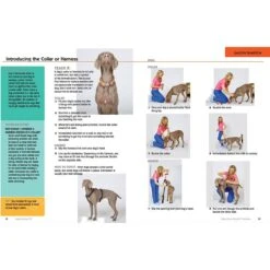 Dog Training 101: Step-by-Step Instructions For Raising A Happy, Well-Behaved Dog 10 Dog Training 101: Step-by-Step Instructions For Raising A Happy, Well-Behaved Dog -Furry Friends 133450 PT3. AC SS1800 V1630359092