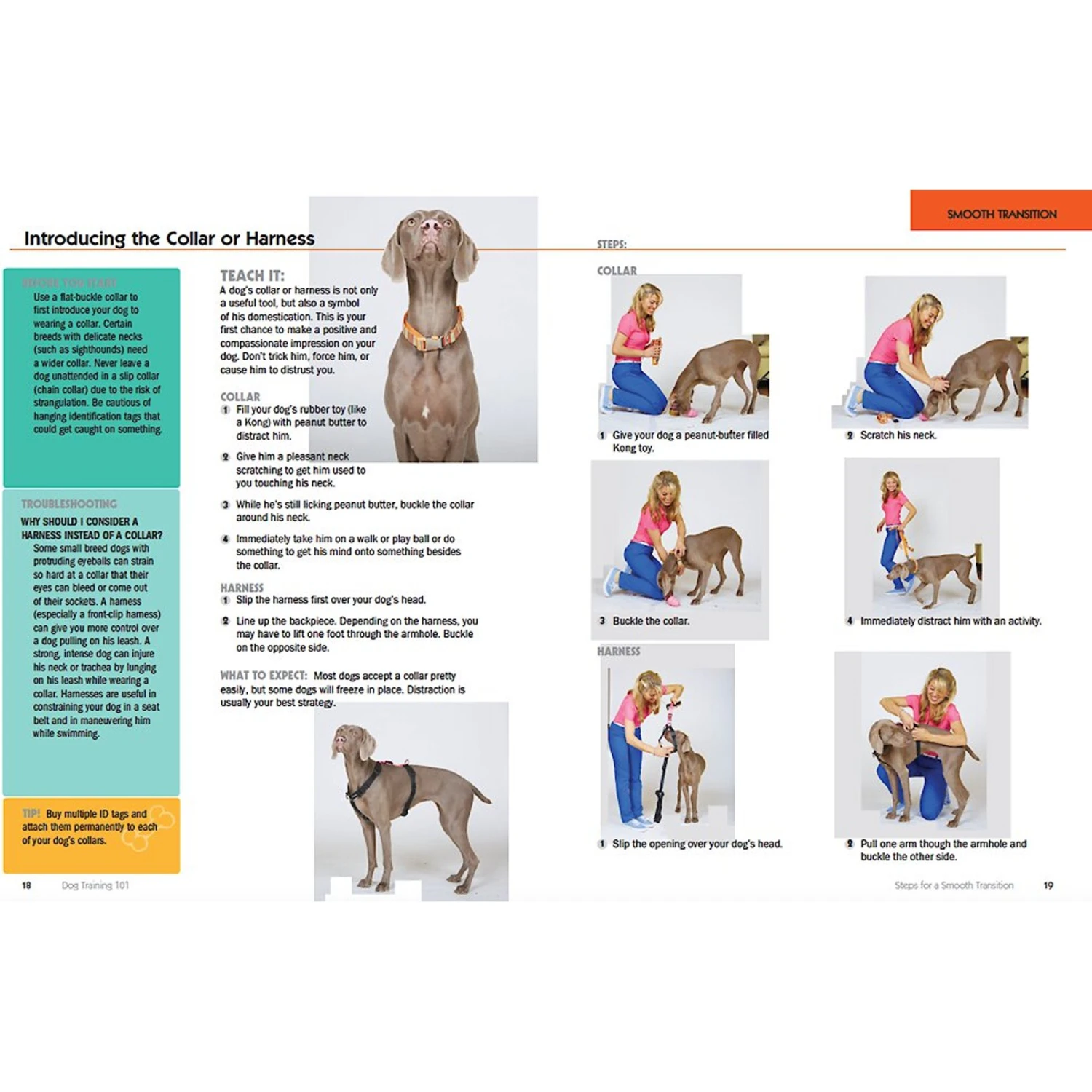 Dog Training 101: Step-by-Step Instructions For Raising A Happy, Well-Behaved Dog 6 Dog Training 101: Step-by-Step Instructions For Raising A Happy, Well-Behaved Dog - Image 4