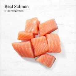 American Journey Pate Salmon Recipe Grain-Free Canned Cat Food, 3-oz Can, 24 Count -Furry Friends 133901 PT4. AC SS1800 V1689972520