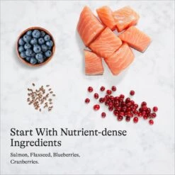 American Journey Pate Salmon Recipe Grain-Free Canned Cat Food, 3-oz Can, 24 Count -Furry Friends 133901 PT6. AC SS1800 V1689972512