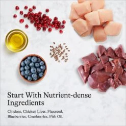 American Journey Pate Chicken Recipe Grain-Free Canned Cat Food -Furry Friends 133925 PT6. AC SS1800 V1689972509