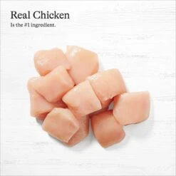 American Journey Minced Chicken & Salmon Recipe In Gravy Grain-Free Canned Cat Food -Furry Friends 133947 PT4. AC SS1800 V1689951324