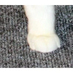 Drymate Corner Ridged Cat Litter Trapping Mat, Grey, 29.5-in X 29.5-in 18 Drymate Corner Ridged Cat Litter Trapping Mat, Grey, 29.5-in X 29.5-in -Furry Friends 134952 PT7. AC SS1800 V1502744879