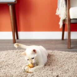 Petlinks HyperNip Love Birds Cat Toy With Catnip -Furry Friends 137496 PT3. AC SS1800 V1595364411