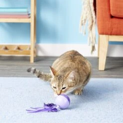 SmartyKat Twirly Top Electronic Mini Motion Ball Cat Toy, Color Varies -Furry Friends 137508 PT5. AC SS1800 V1525718252