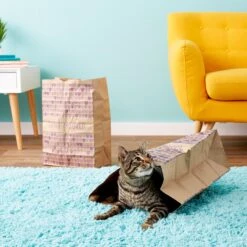 SmartyKat Cat Caves Catnip Infused Paper Bags, 2 Count -Furry Friends 137534 PT5. AC SS1800 V1525718344