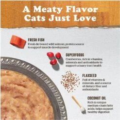 Now Fresh Grain-Free Wild Salmon Pate Wet Cat Food -Furry Friends 138476 PT2. AC SS1800 V1637793777
