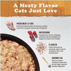 Now Fresh Grain-Free Turkey Stew Wet Cat Food -Furry Friends 138481 PT2. AC SS1800 V1637791962