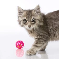 Hartz Just For Cats Toy Variety Pack, 13 Count -Furry Friends 139111 PT3. AC SS1800 V1589230986