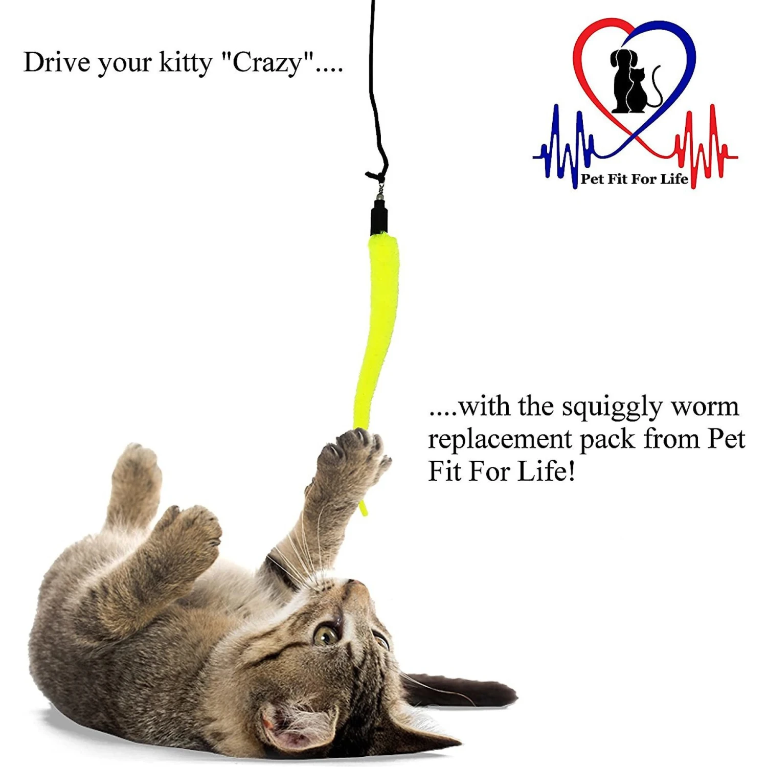 Pet Fit For Life 5 Piece Squiggly Worm Replacement Pack For Wand Cat Toy 4 Pet Fit For Life 5 Piece Squiggly Worm Replacement Pack For Wand Cat Toy - Image 2