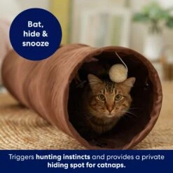 Frisco 35-in Foldable Crinkle Play Tunnel With 1 Window -Furry Friends 140166 PT3. AC SS1800 V1695670685