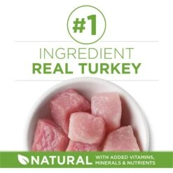 Purina ONE +Plus Indoor Advantage With Real Turkey Natural Adult Dry Cat Food -Furry Friends 140297 PT3. AC SS1800 V1677532159