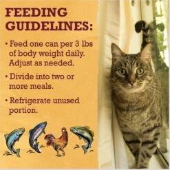 Purina Beyond Grain-Free Pate 4 Flavors Variety Pack Canned Cat Food -Furry Friends 140460 PT8. AC SS1800 V1641260842