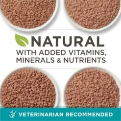 Purina ONE Grain-Free Variety Pack Natural High Protein Canned Cat Food, 3-oz, Case Of 24 -Furry Friends 140462 PT2. AC SS1800 V1657655538