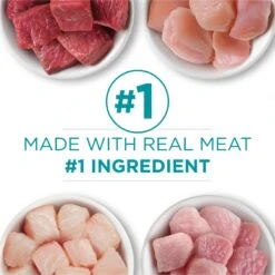 Purina ONE Grain-Free Variety Pack Natural High Protein Canned Cat Food, 3-oz, Case Of 24 -Furry Friends 140462 PT4. AC SS1800 V1657655538