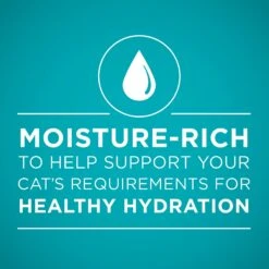 Purina ONE True Instinct 4 Flavors Variety Pack Canned Cat Food 14 Purina ONE True Instinct 4 Flavors Variety Pack Canned Cat Food -Furry Friends 140464 PT3. AC SS1800 V1641584577