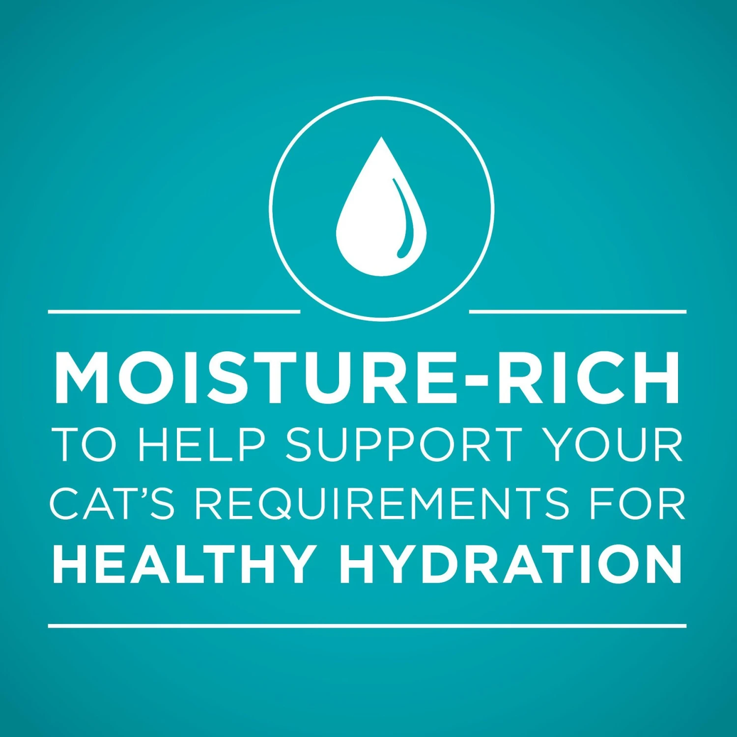 Purina ONE True Instinct 4 Flavors Variety Pack Canned Cat Food 6 Purina ONE True Instinct 4 Flavors Variety Pack Canned Cat Food - Image 4