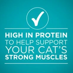 Purina ONE True Instinct 4 Flavors Variety Pack Canned Cat Food 17 Purina ONE True Instinct 4 Flavors Variety Pack Canned Cat Food -Furry Friends 140464 PT6. AC SS1800 V1641587578