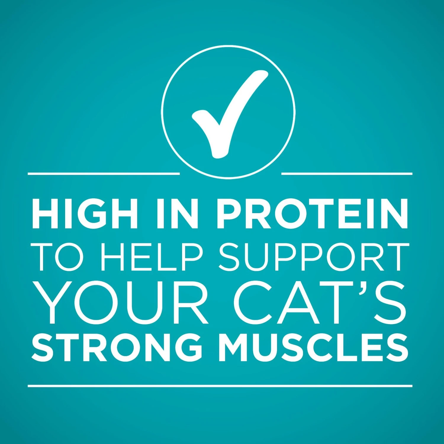Purina ONE True Instinct 4 Flavors Variety Pack Canned Cat Food 9 Purina ONE True Instinct 4 Flavors Variety Pack Canned Cat Food - Image 7