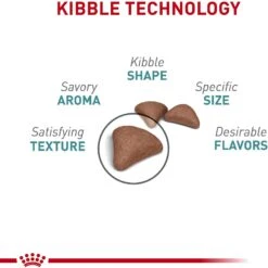 Royal Canin Hairball Care Dry Cat Food -Furry Friends 140509 PT3. AC SS1800 V1697758592