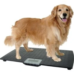 Redmon Precision Digital Pet Scale