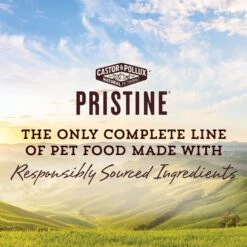 Castor & Pollux PRISTINE Grain-Free Wild-Caught Salmon Recipe Pate Canned Cat Food 12 Castor & Pollux PRISTINE Grain-Free Wild-Caught Salmon Recipe Pate Canned Cat Food -Furry Friends 141130 PT2. AC SS1800 V1702939251
